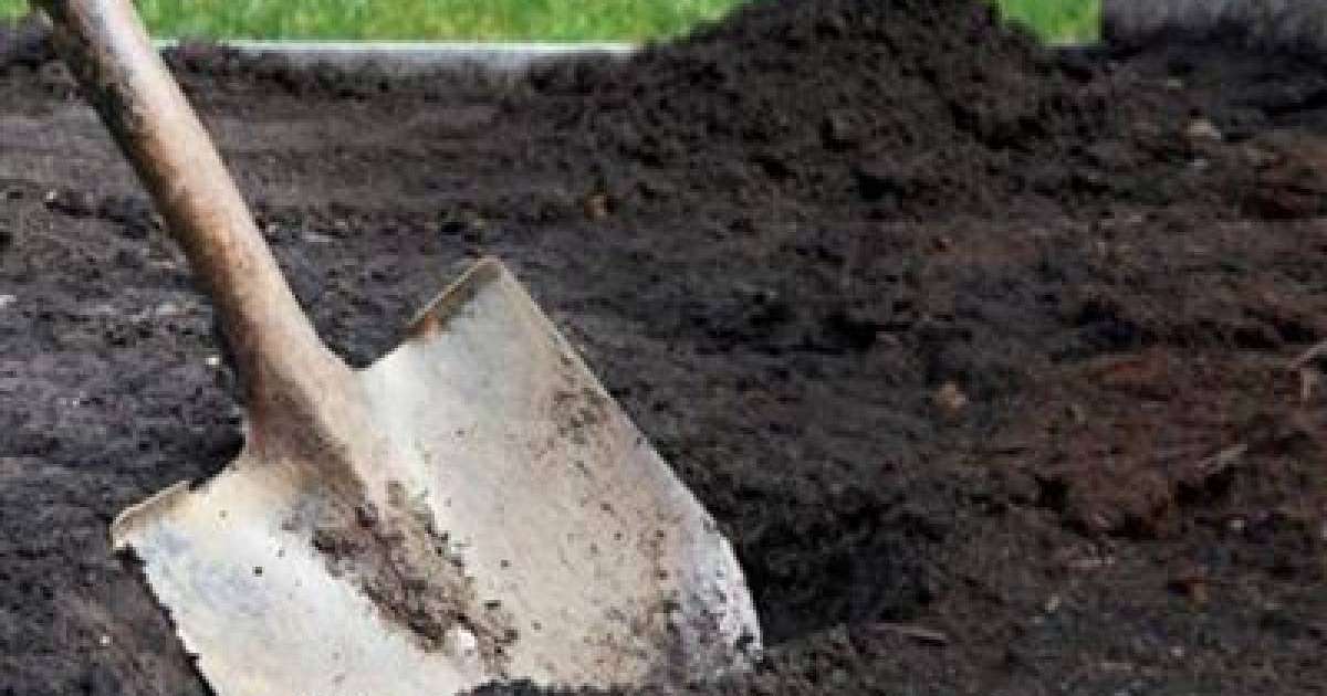 Шымкентте жас келіншекті тірідей көміп тастаған