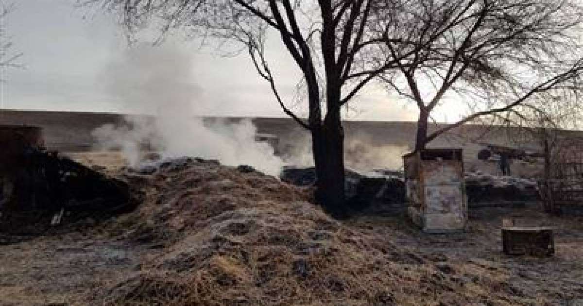 Ақтөбедегі ауылда 13 үйдің шөбін өртегендер ұсталды