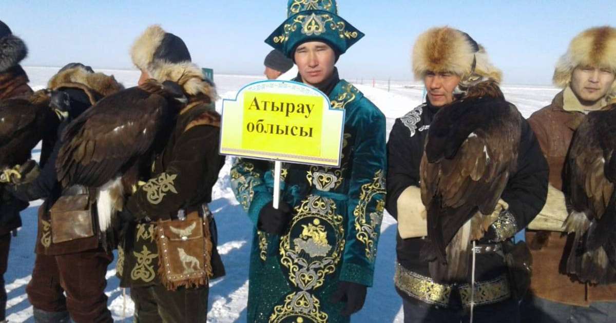 Тарбағатай ауданында бүгін бүркіттер қасқырға түседі