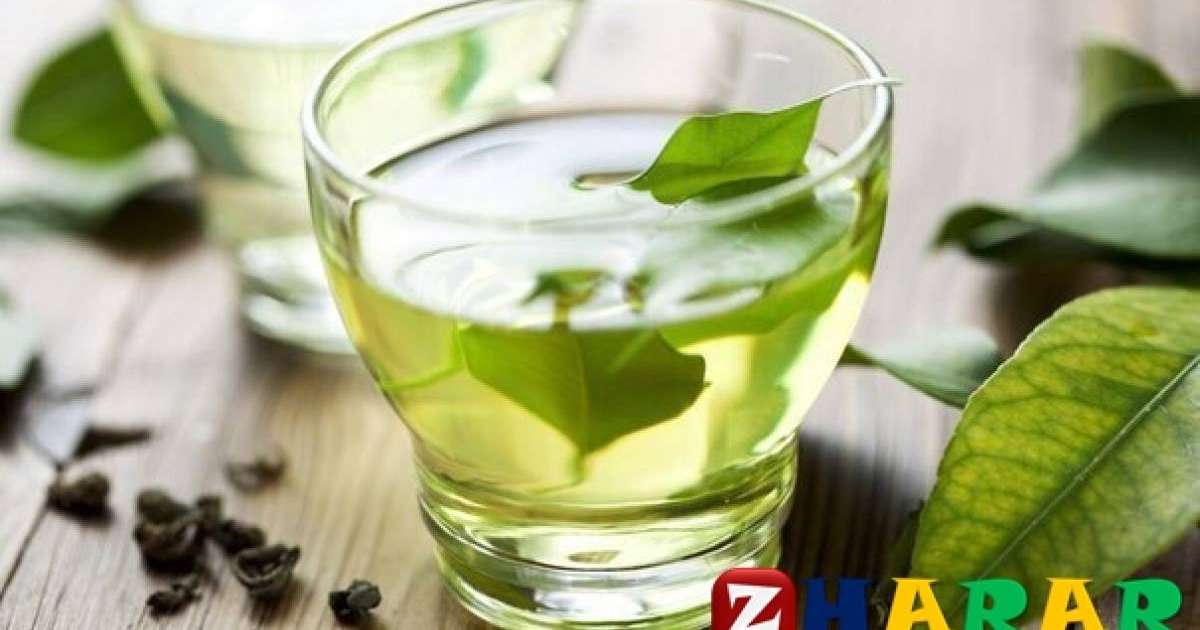 Көк шайдың пайдасы қандай