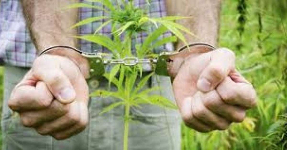 Талдықорғанда есірткі сатушы қолға түсті