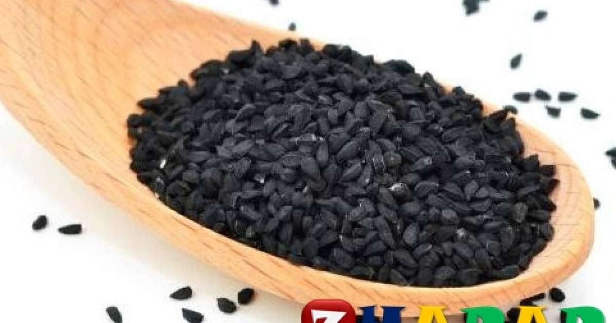 50 түрлі дертке дауа болатын ерекше өсімдік