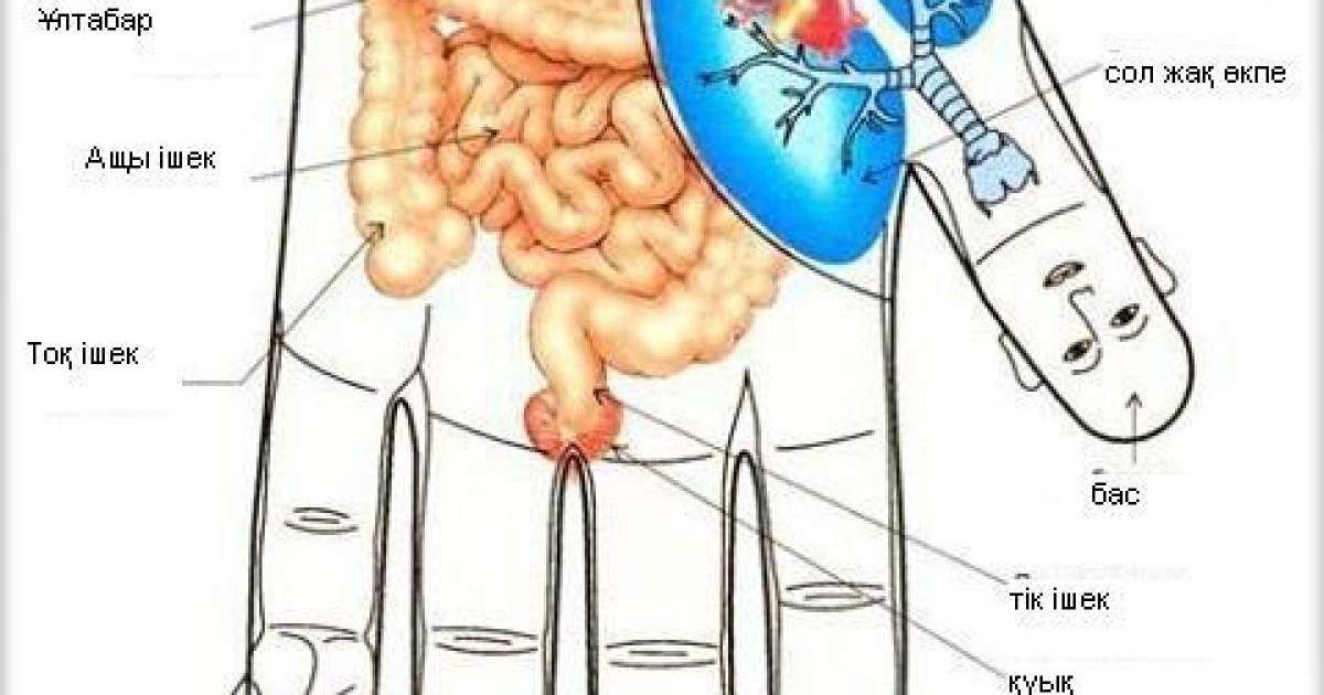 АЛАҚАНЫМЫЗҒА НҮКТЕЛІК МАССАЖ ЖАСАЙЫК