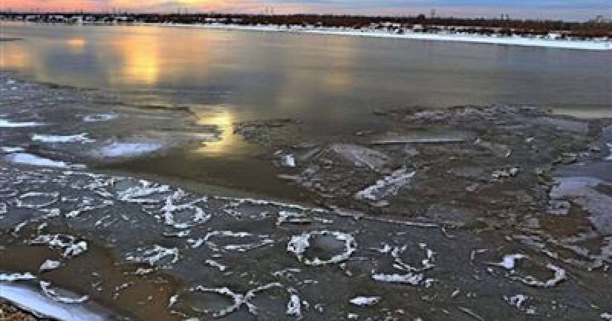 Сырдарияда бөгет бұзылып, 60 гектар жерді су басты