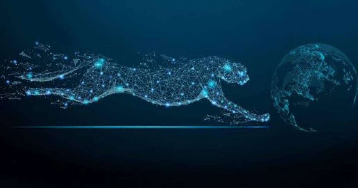 Қазақстан цифрландыру саласында қарқынды түрде трансформациялануда — сарапшы