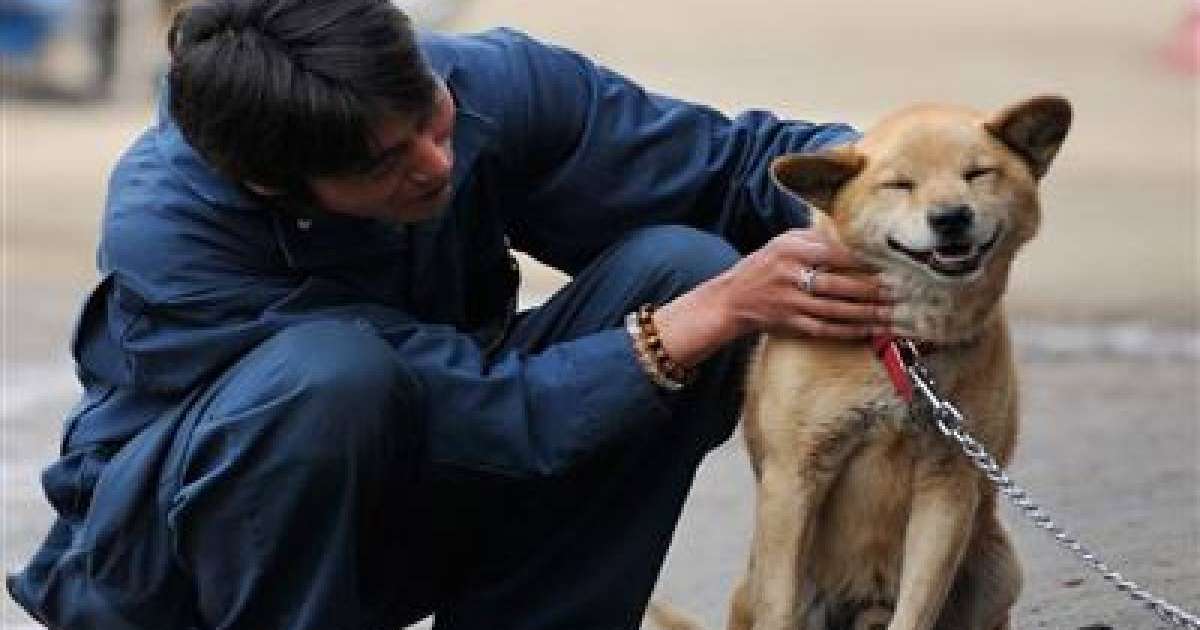 Кәрістер ит етін жеуді күрт азайтты