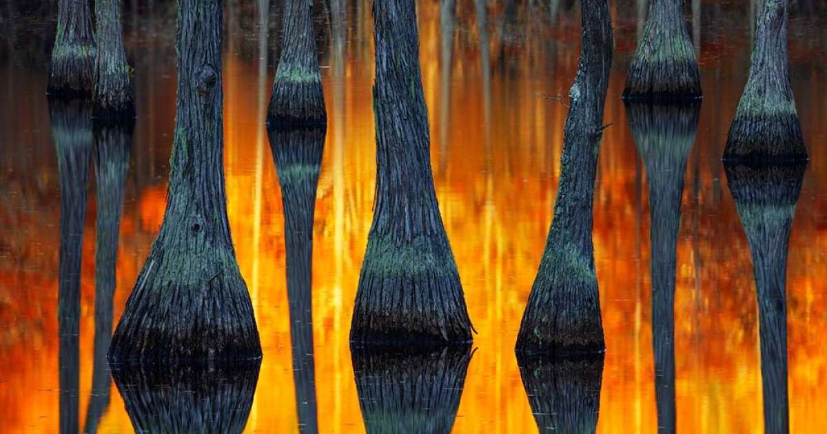 International Landscape Photographer of the Year-ның ең үздік суреттері - Суреттер сөйлейді - Bilim