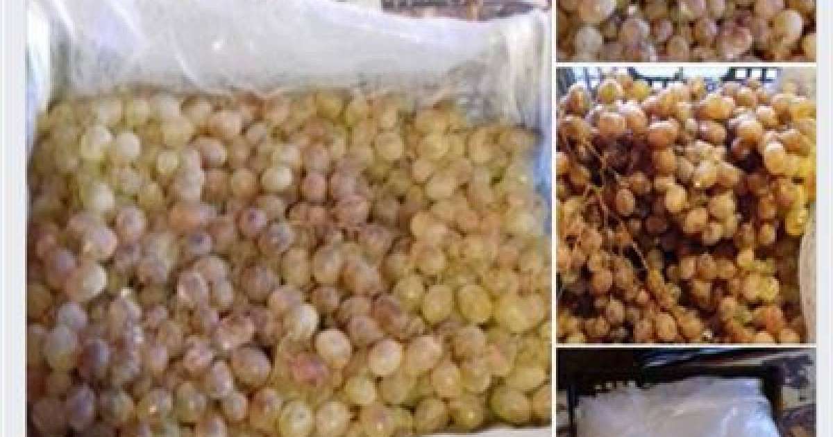 Май зауытының жұмысшылары жалақы орнына жүзім алған