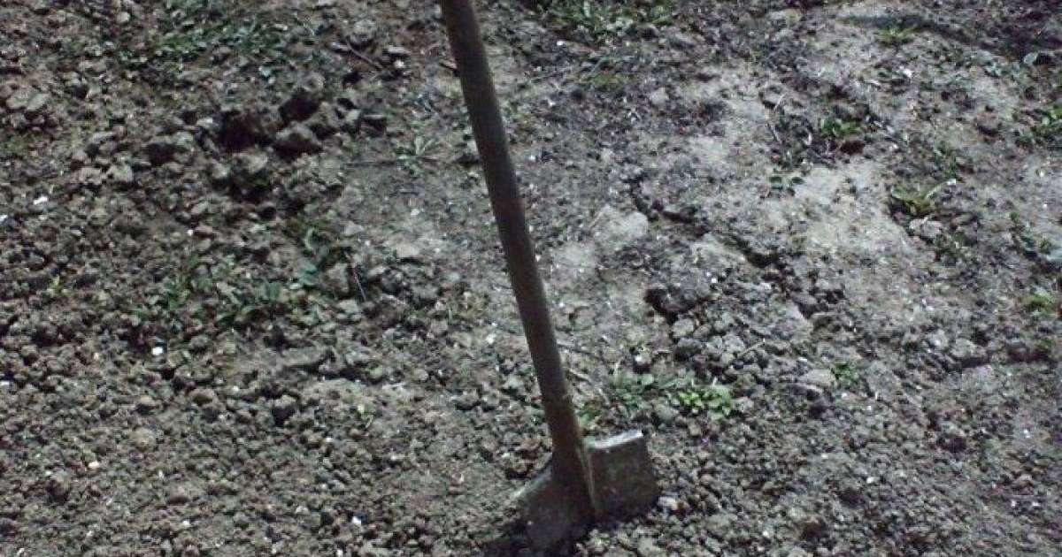 Екі баласының анасына көр қазып қойған: Атбасардағы сұмдықтың мән-жайы белгілі болды