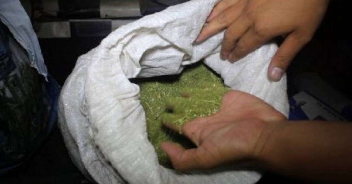 Алматы облысында ірі көлемде есірткі сақтағандар ұсталды