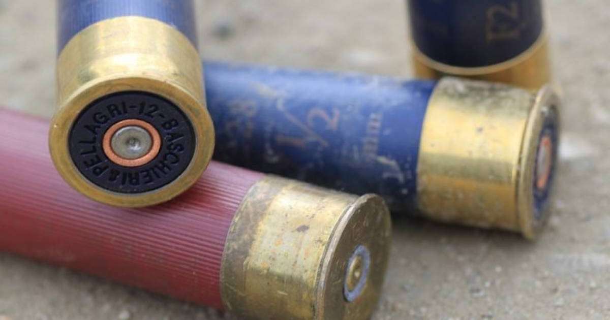 Қызылорда облысында қоян атқан браконьерлер істі болып жатыр