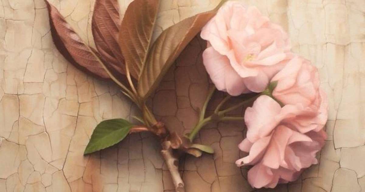 ТЕРІ ҚАБЫНУҒА