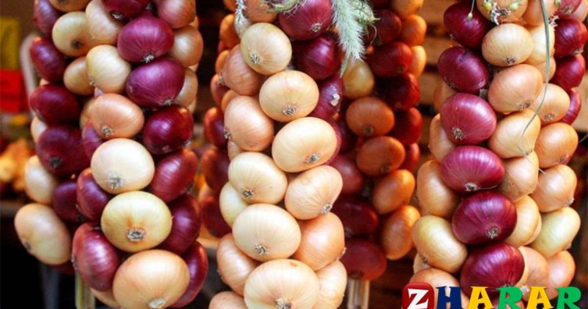 Денсаулыққа қатысты қызықты деректер