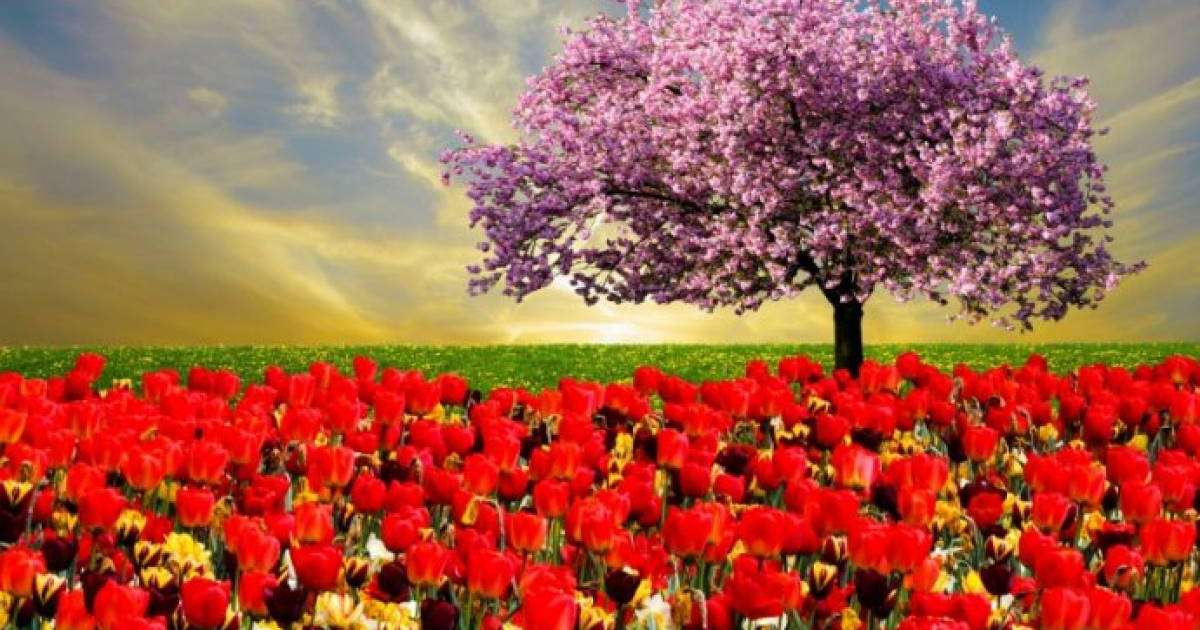 Қазақстандықтар наурызда қанша күн демалады