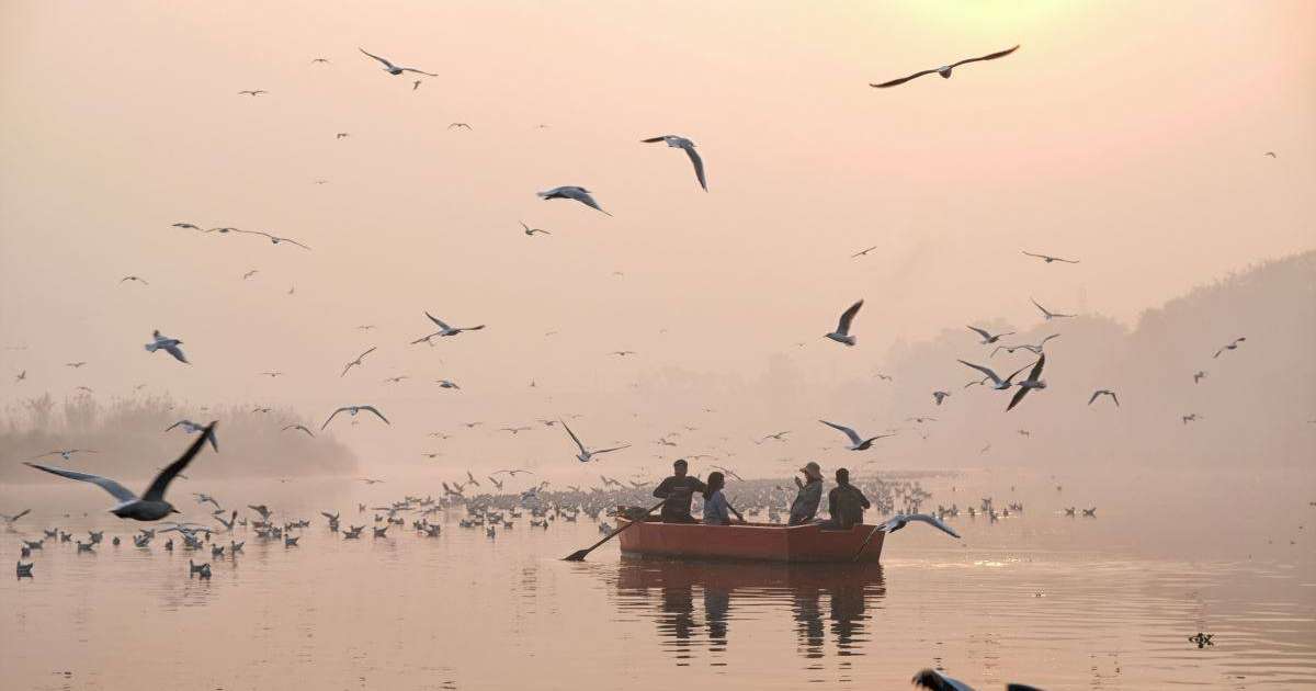 Еуромайданды еске алу және жыл құстарының көші