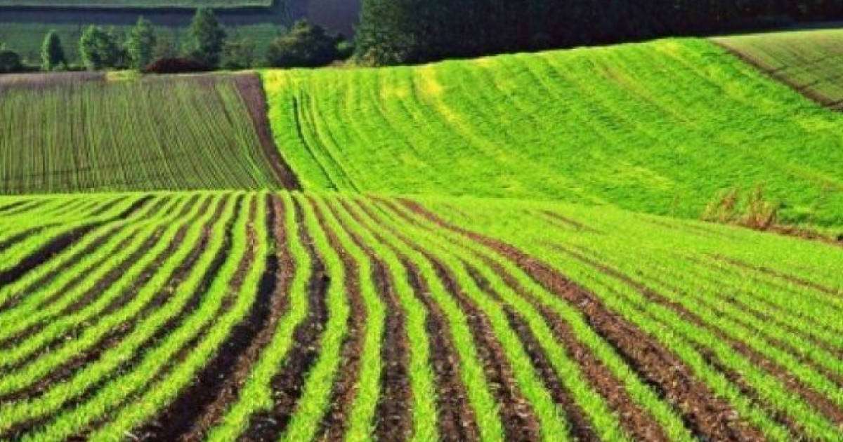 Мұхтар Тайжан бірыңғай аграрлық салықты енгізу ұсынды