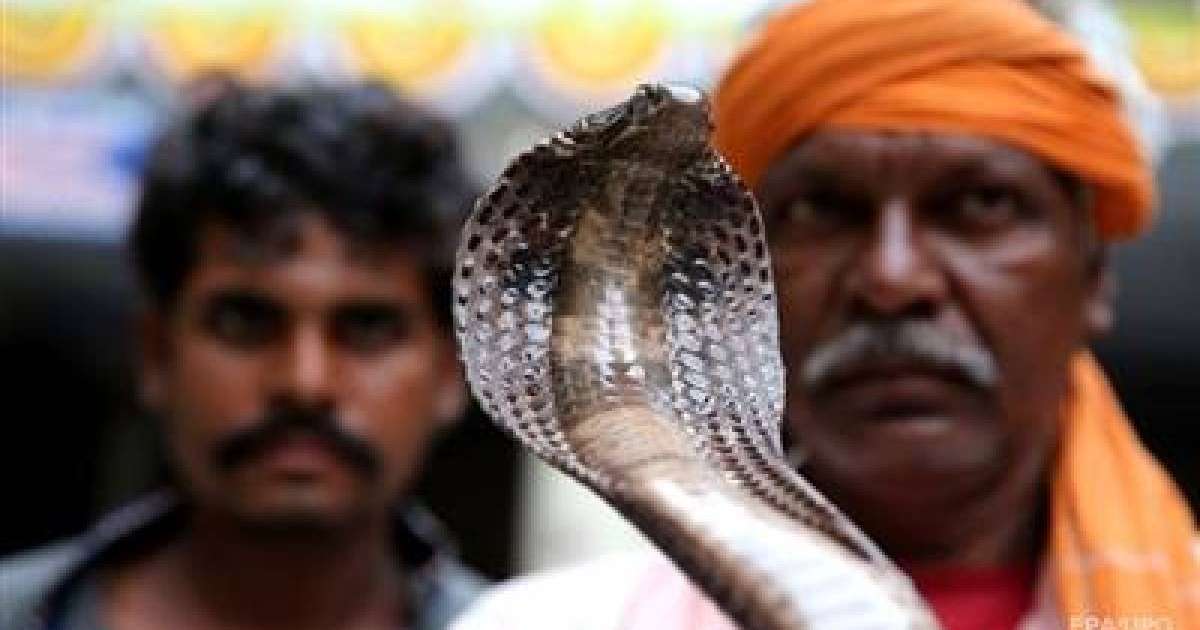 Жігіт достарын жыланмен қорқытамын деп, ажал құшты