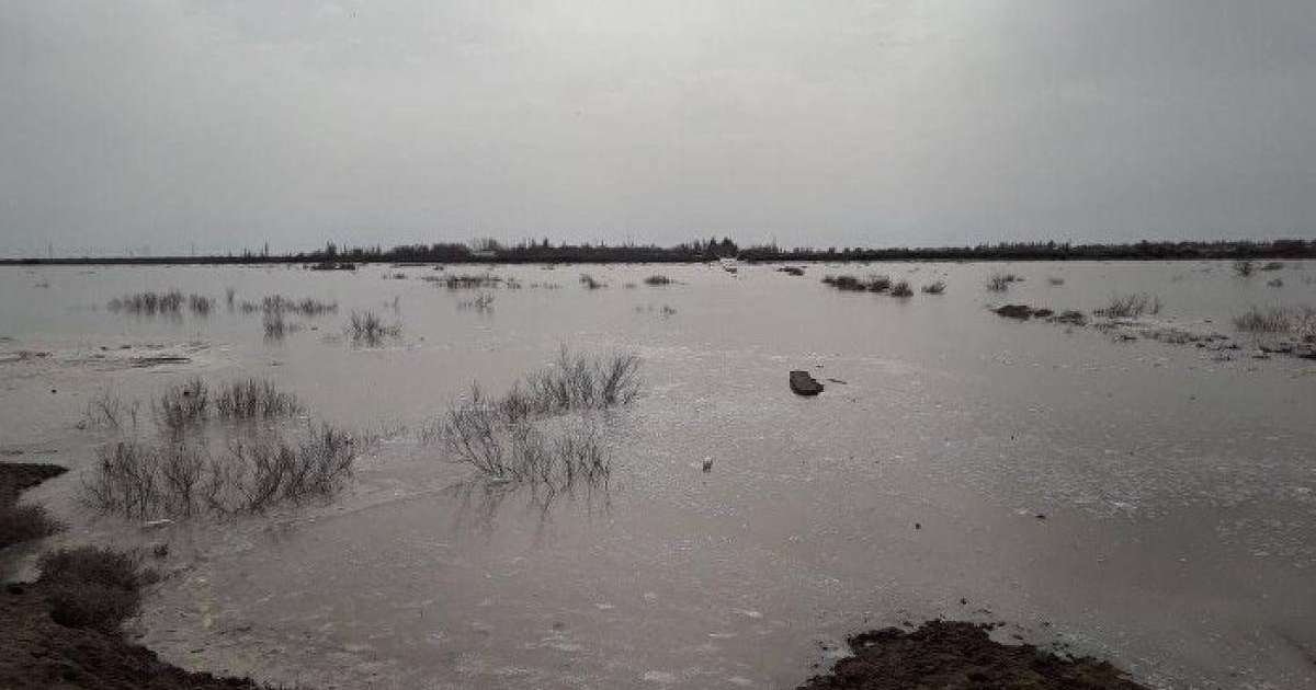 ШҚО-да ауылдарды су басып жатыр