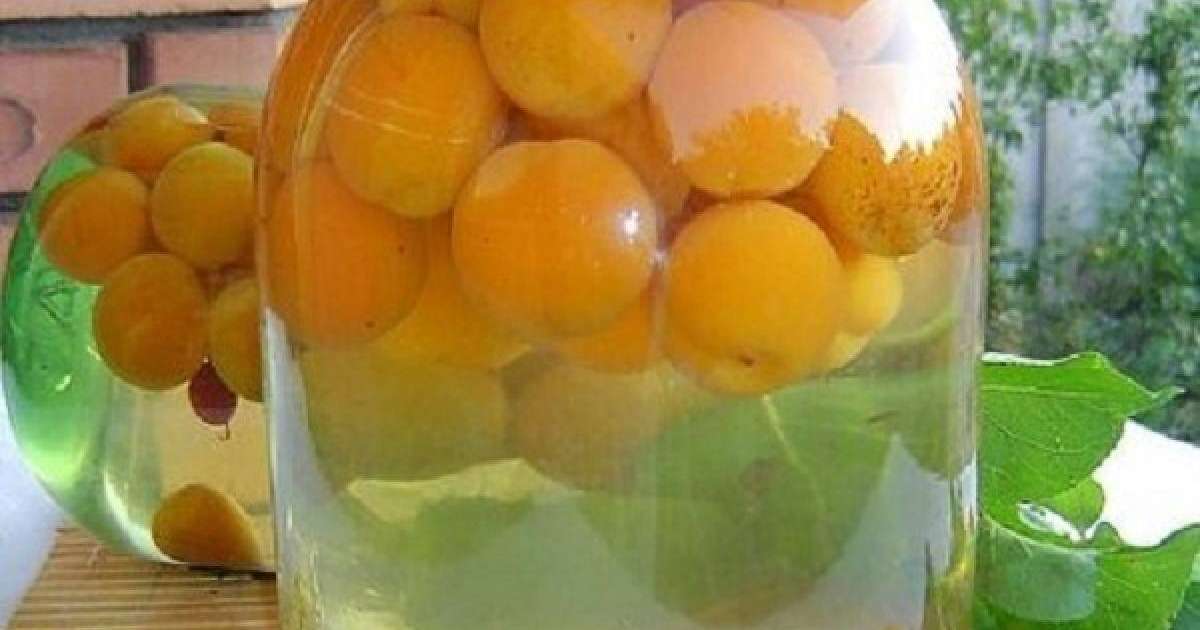 Абрикос компотын қалай әзірлейді? |