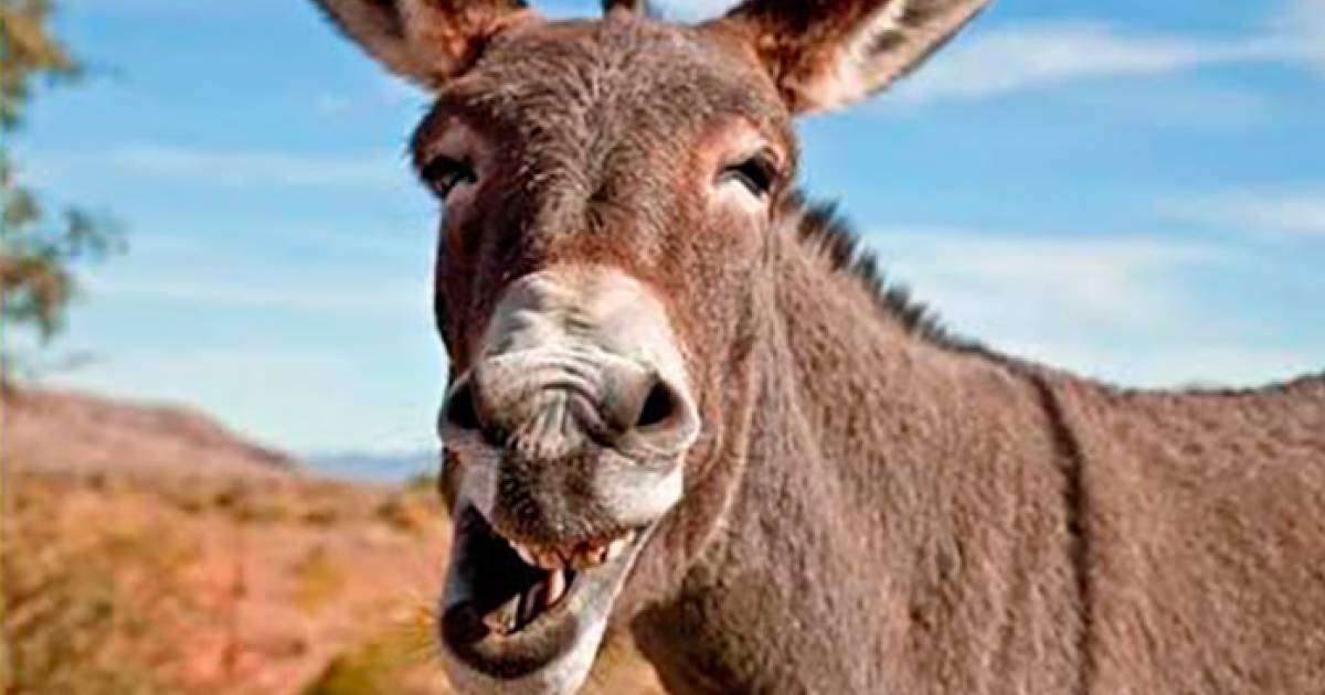 Ерлі-зайыптылар секс Қазан