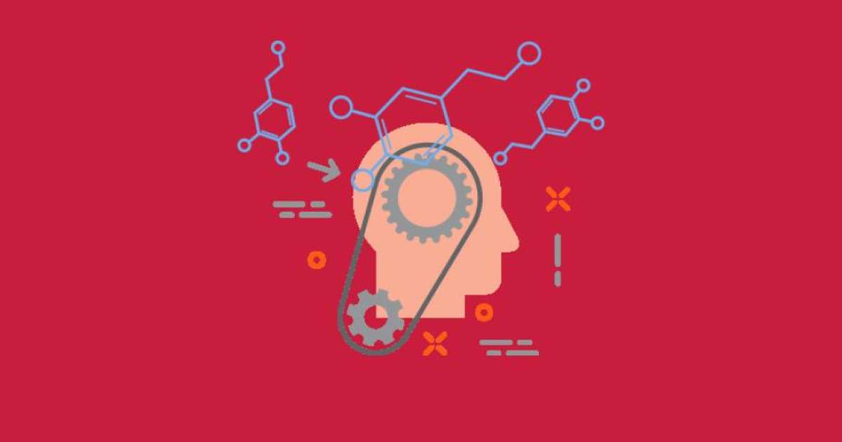 Марапаттан дәмелену сезімін бақыт деп ойлаймыз - Мотивация - Bilim