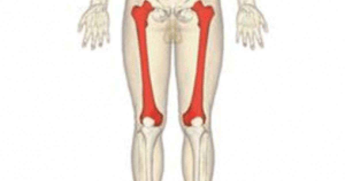 Үлкен ұршық сынығы. Кіші ұршық сынығы