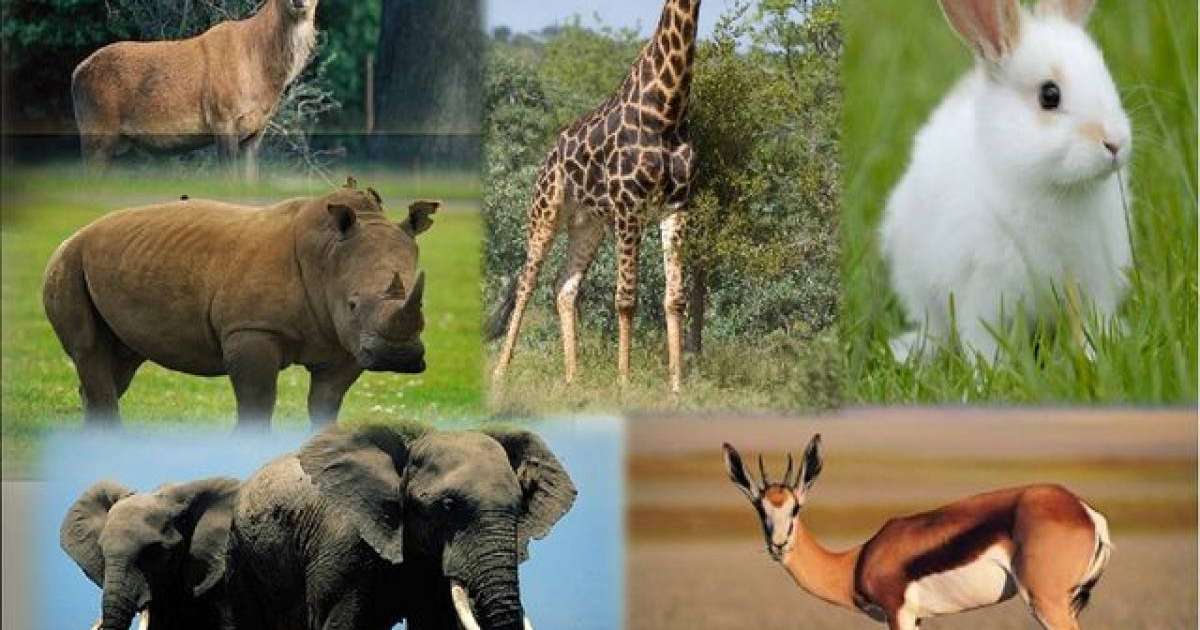 Ең әдемі жетілген секс