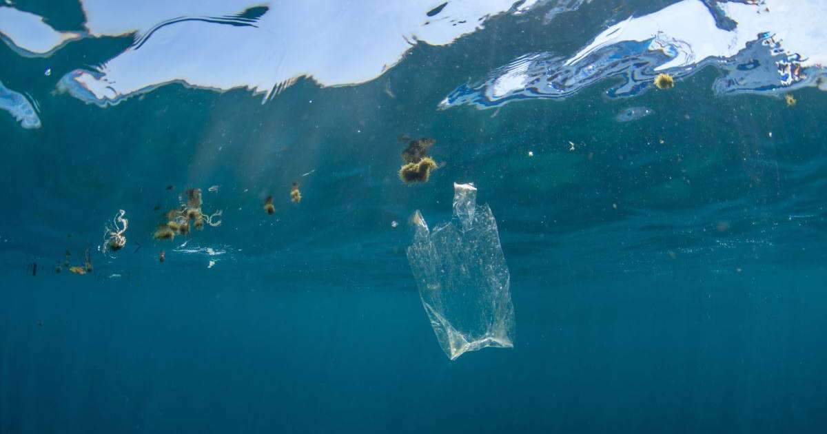 Еуропарламент пластиктен жасалған ыдыстарға тыйым салу туралы заң қабылдады