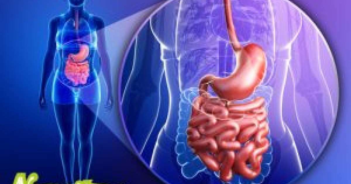 Экссудативті энтеропатия