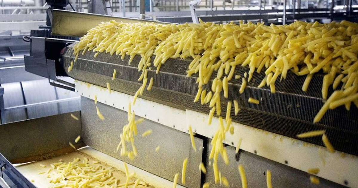 荷兰企业计划在哈萨克斯坦投资建厂