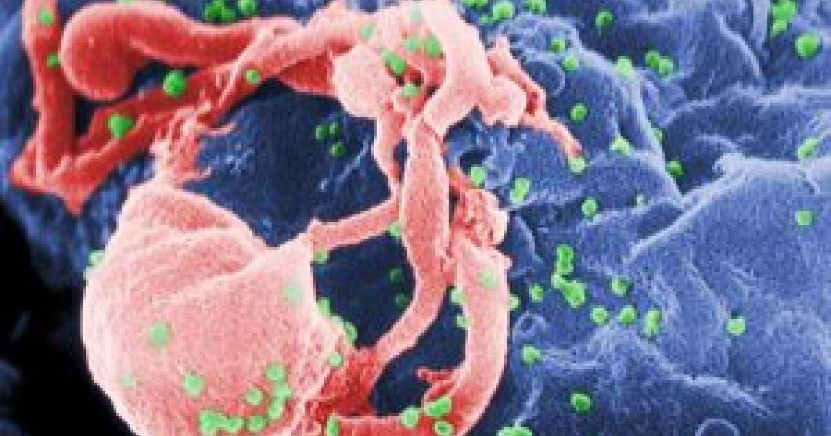 Лизосомалық аурулар