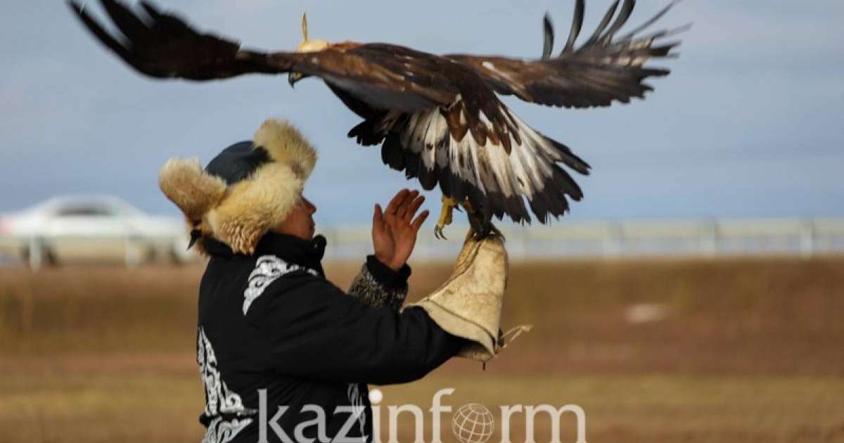 ШҚО бүркітшісі халықаралық байқауда топ жарды