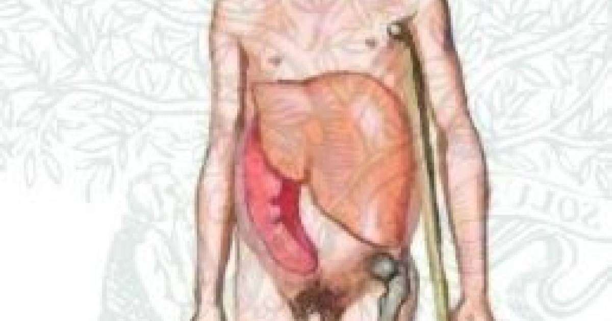 Гликолипидоздар