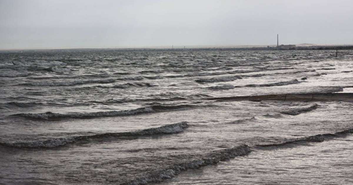 Қытайда екі метрлік жұмбақ жаратылыс жұрттың үрейін ұшырды