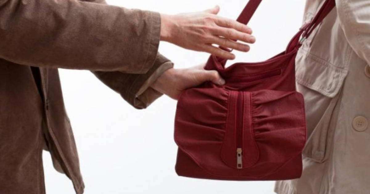 Алматы облысында шетелдік мұғалімді тонаған ұры қолға түсті