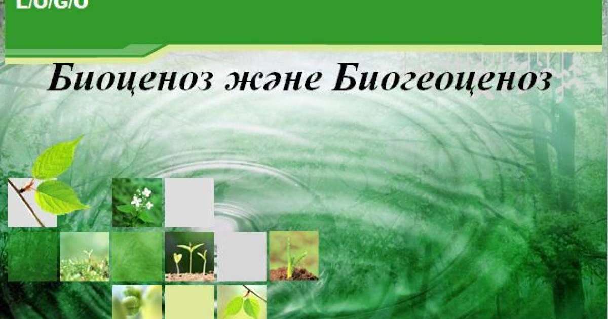 Биогеоценоз слайд,презентация - Биология - Презентация на казахском языке - Қазақша презентация