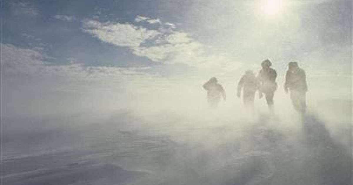 ШҚО-да қасқыр қамаған ауыл тұрғындары құтқарылды