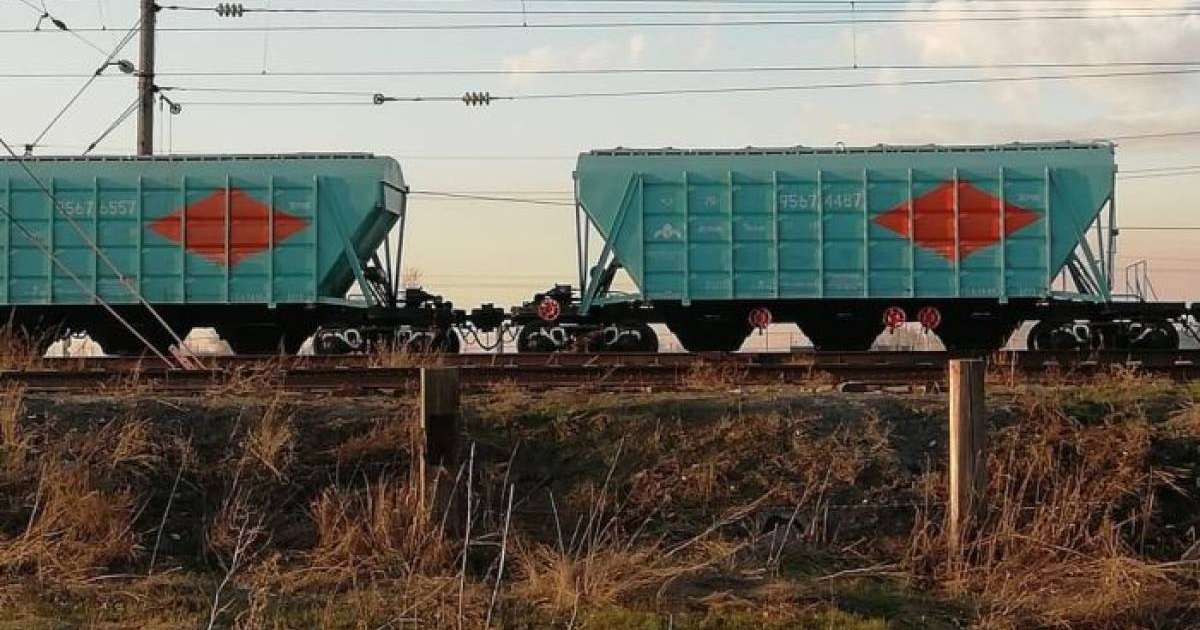 Ақмола облысындағы сенбілік кезінде 14 жастағы оқушы мерт болды