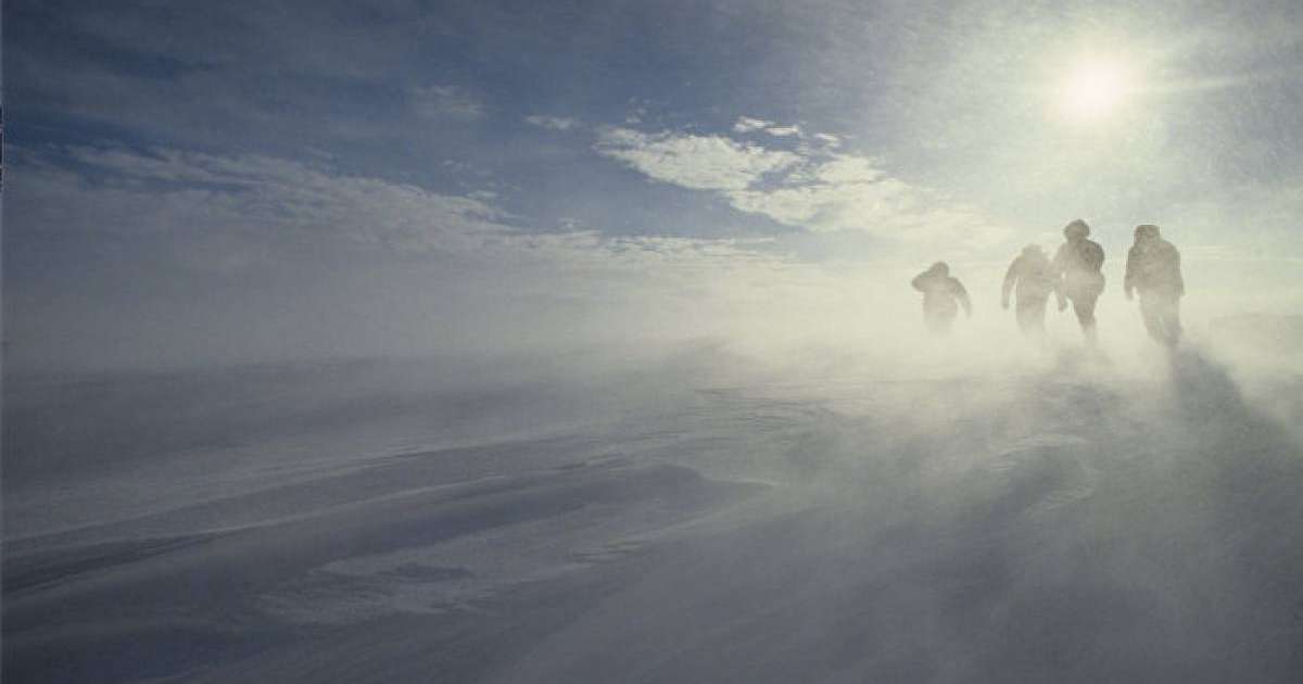 "Қатты айғайладық". ШҚО-да адасқан ауылдықтар қасқырға жем бола жаздады