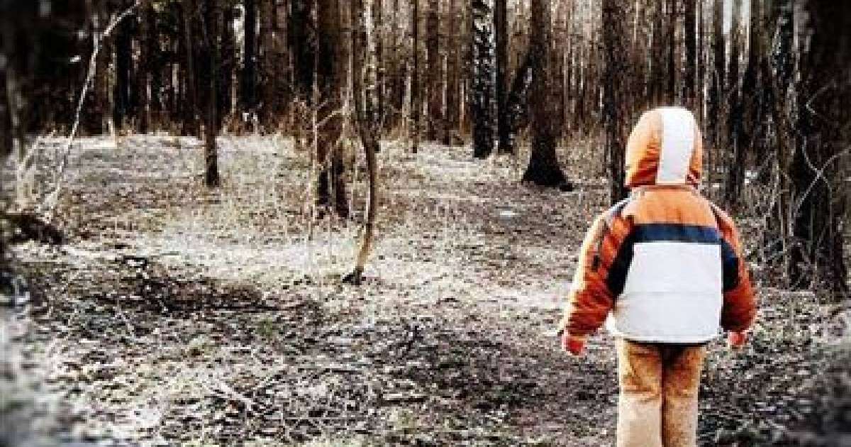 Орманда жалғыз қалып қойған 3 жасар бала аман табылды