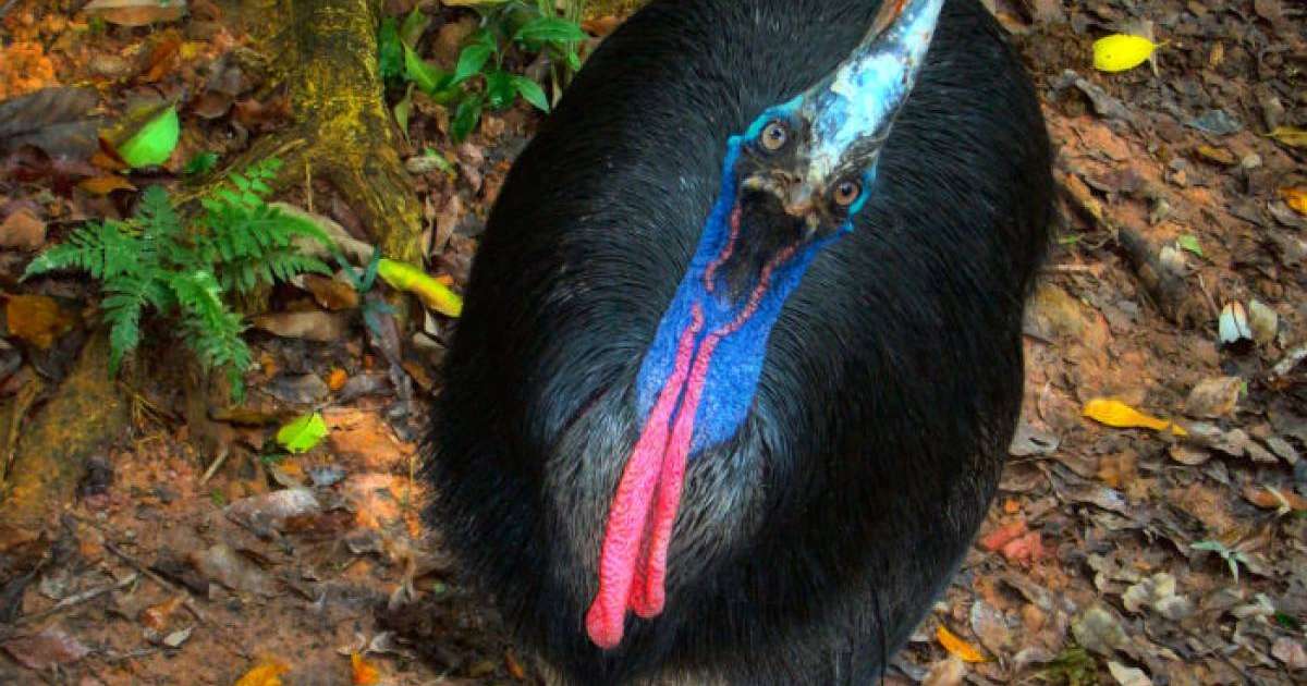 ер адам алған жарақатынан көз жұмды