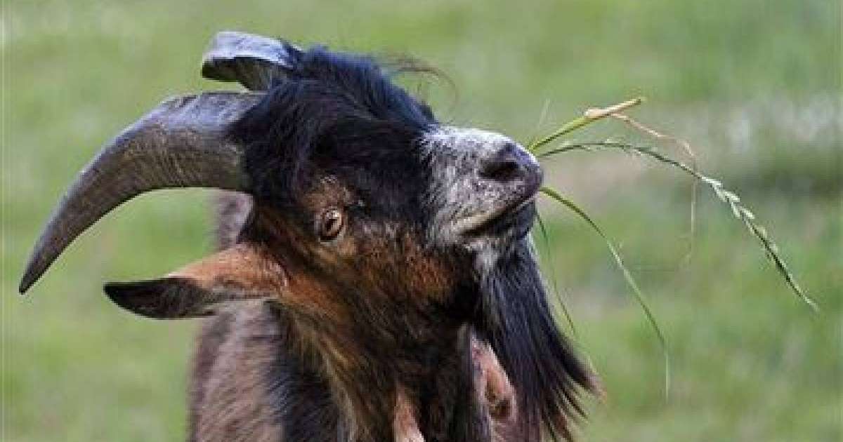 Метроға ешкімен кірген ер адам бүкіл жұртты әуре-сарсаңға салды