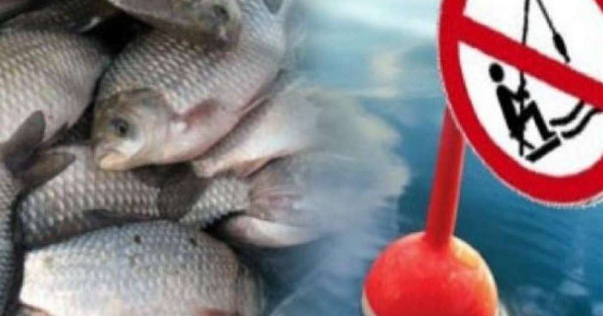 Ертісте балық аулауға тыйым салады