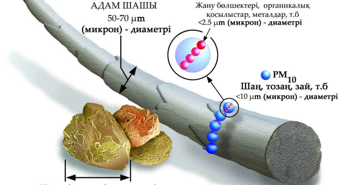 PM2.5 бөлшектері деген не? - Денсаулық - Bilim