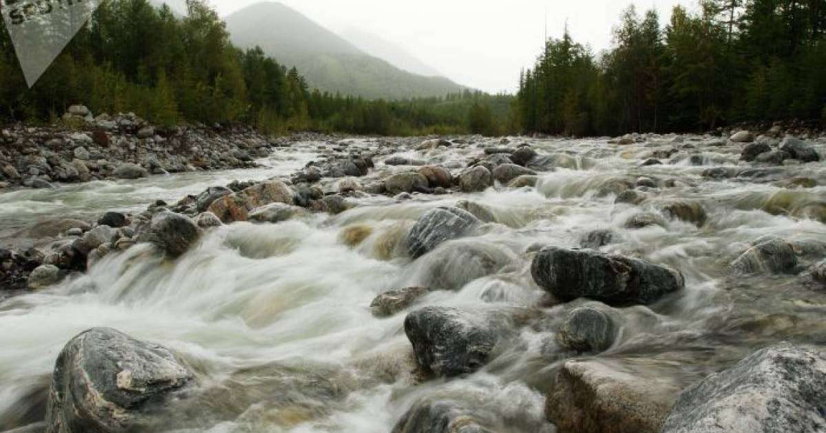 Жаңа министрлікке қандай өкілеттіктер беріледі?