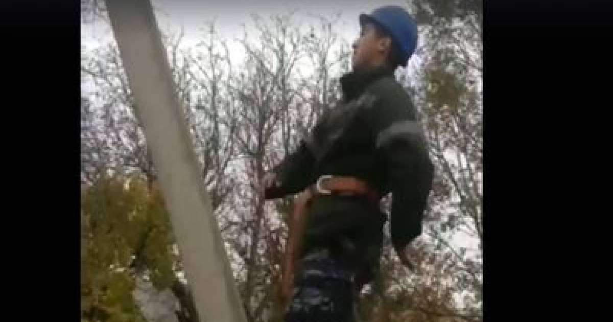 МакГрегорға пародия жасаған электрик жазаланды