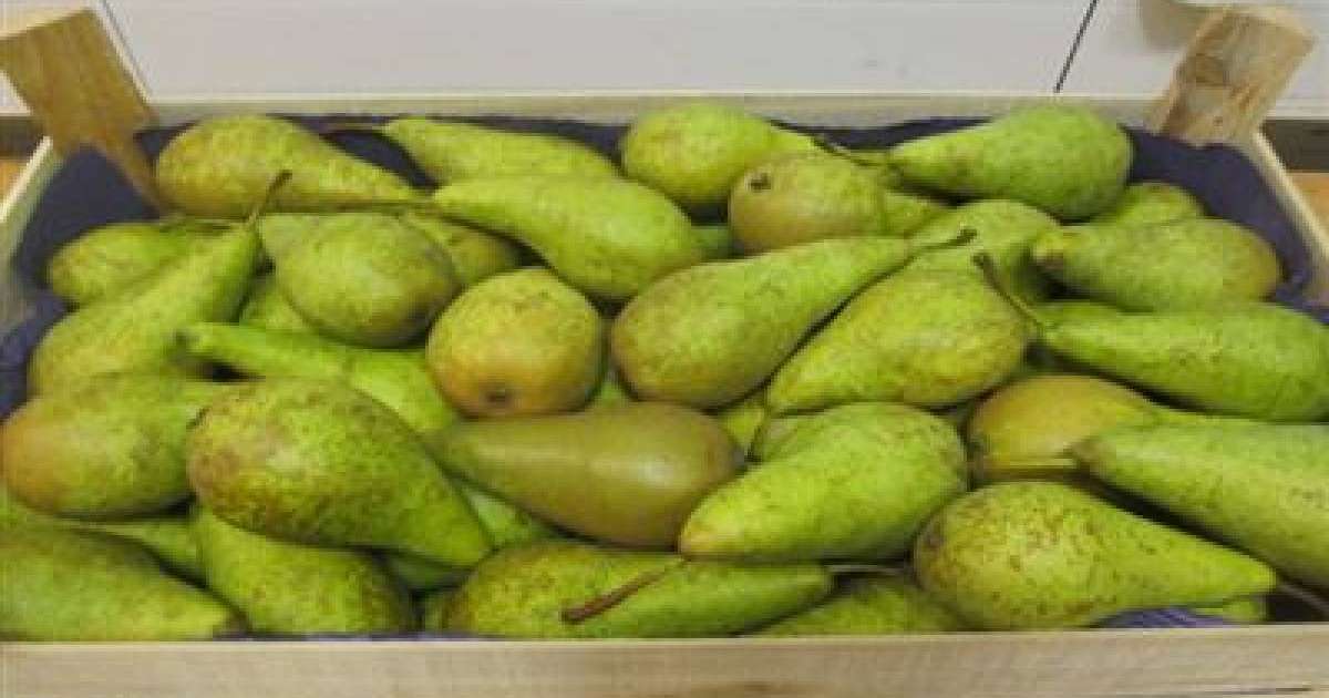 Ішінде ине толы екі қорап алмұрт табылды