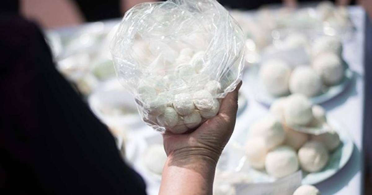 Құрт пен айранның өлімге әкелетін ауруларға шалдықтыратыны анықталды