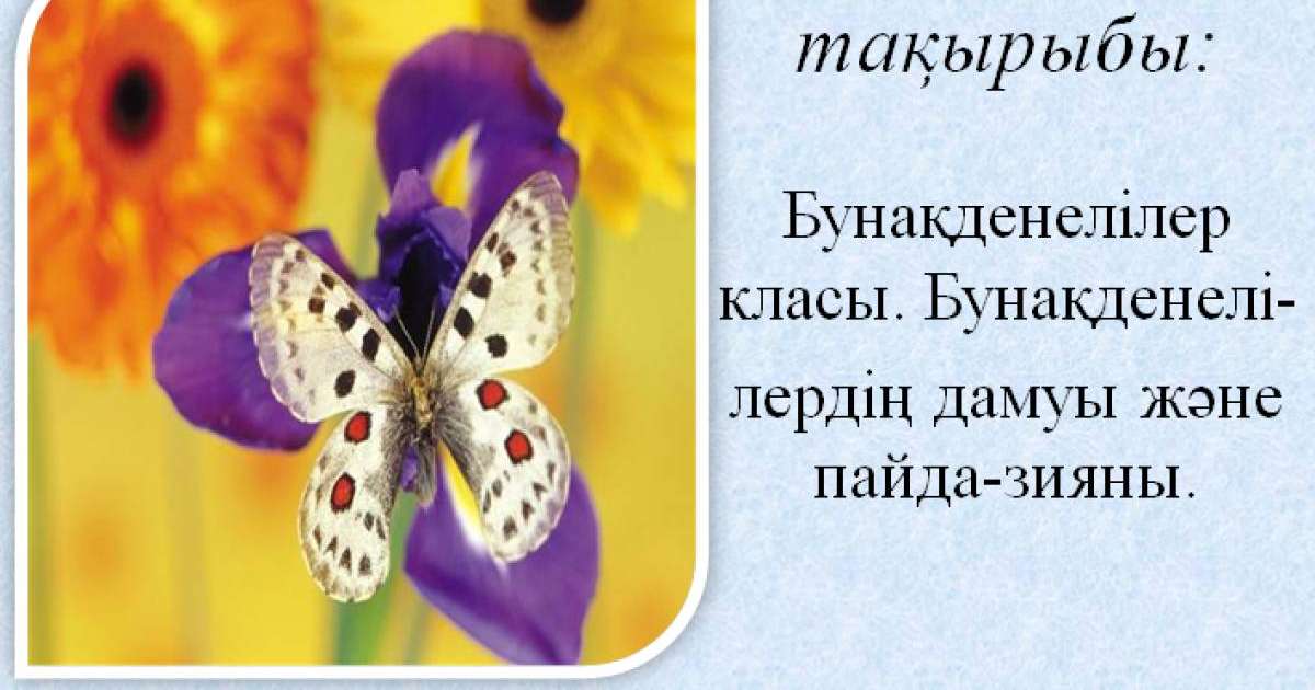 Презентация (слайд): Бунақденелілер класы