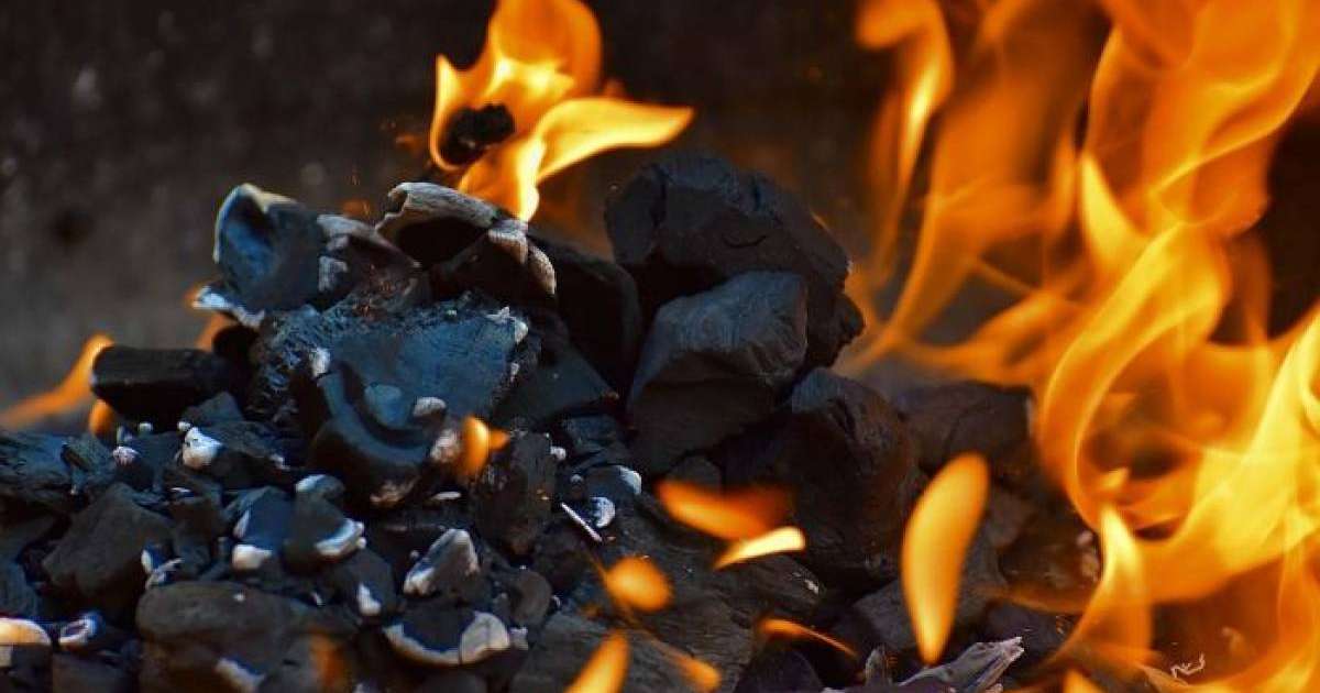 Шымкент жаңалықтары: адамның ішкі ағзаларын көшеде өртеп, қоқысқа тастаған